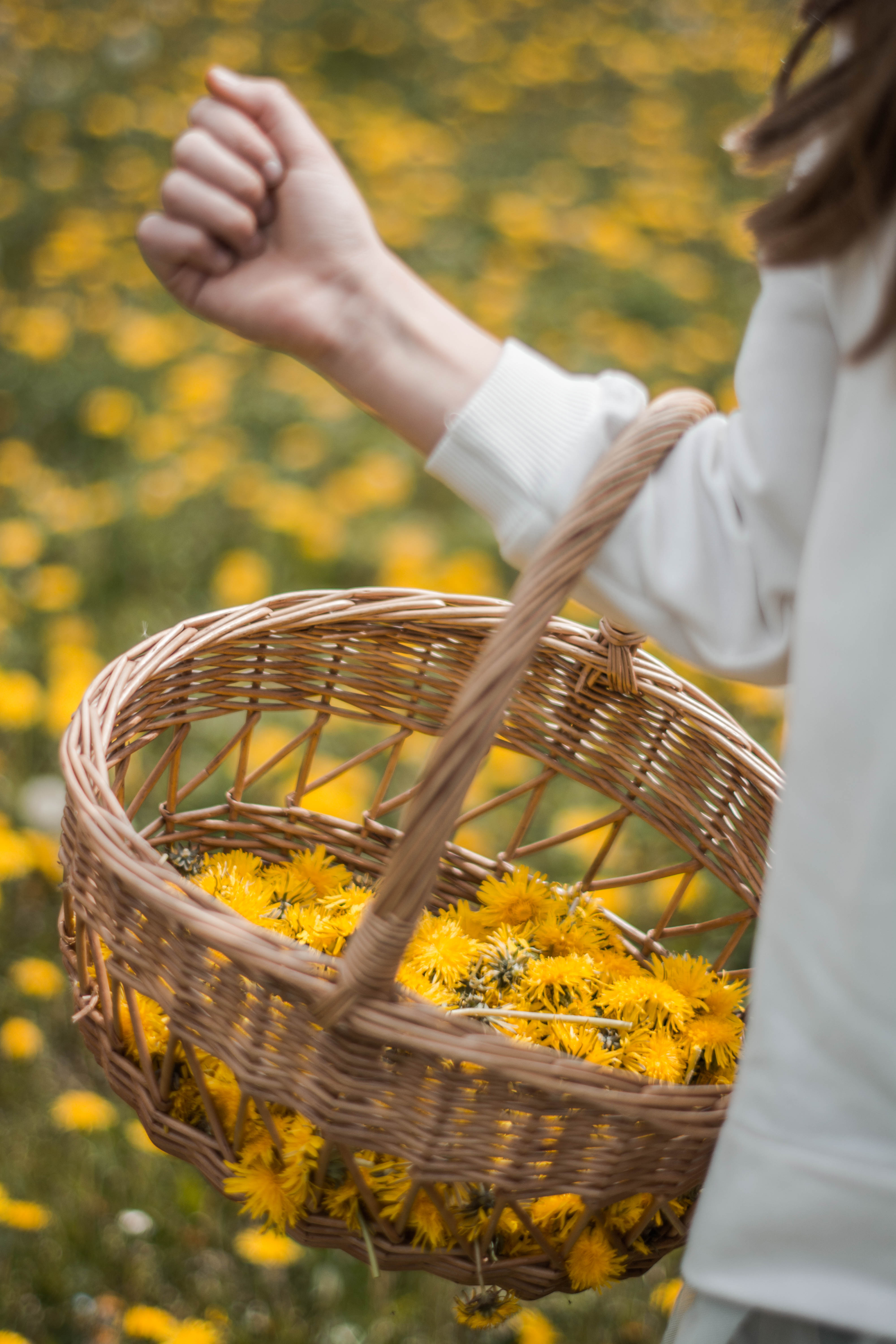 Marmellata di fiori di tarassaco 230g  - Aura