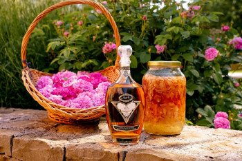 Rosa 0,7 l - Aura