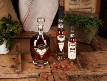 Vrtnica 0,1 l - Aura